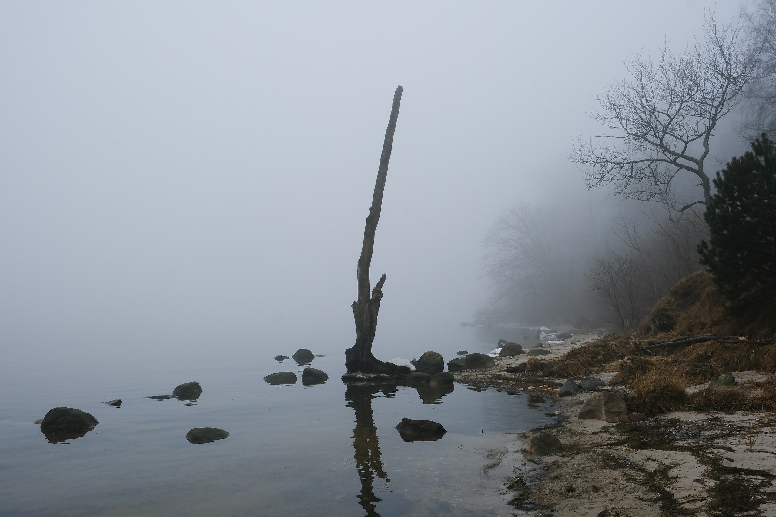 Sklep z fotografiami. Dekoruj przestrzeń z Art Is Blick