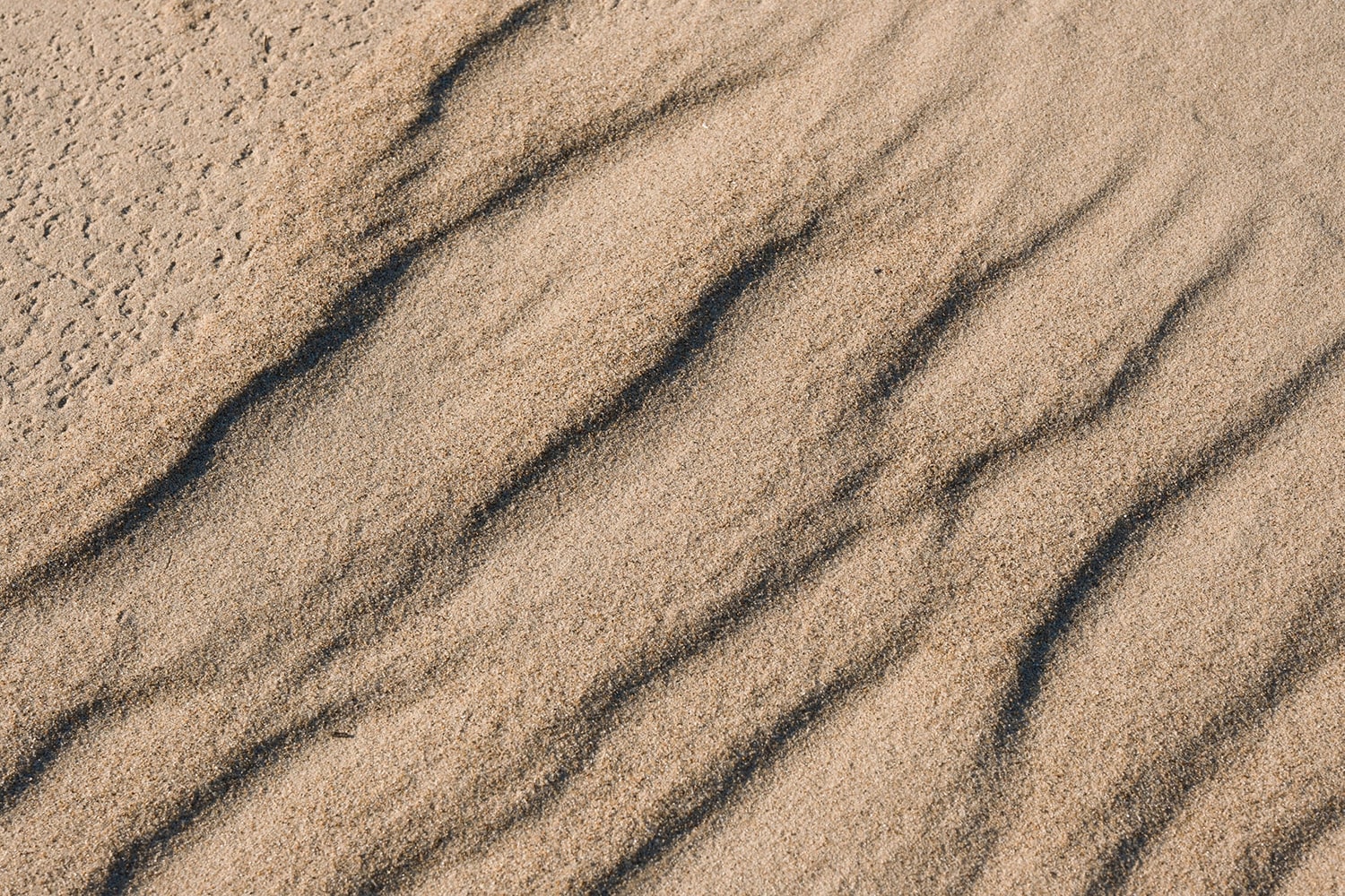 Photograph 14