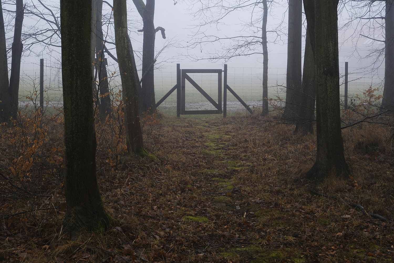 Fotografia na papierze artystycznym