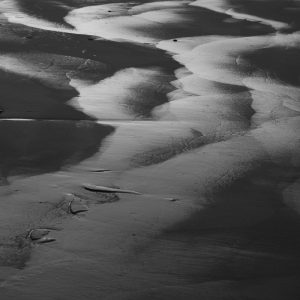 Original artistic photography- Art Is Blick