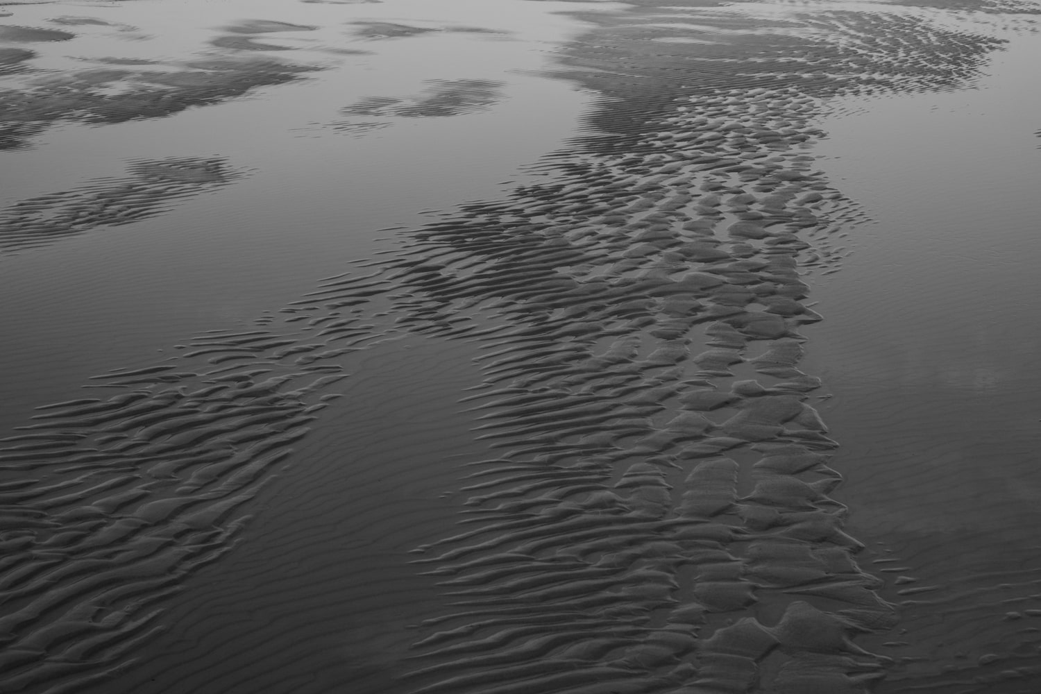 Photograph 43