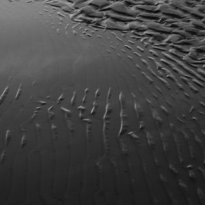 Fine art prints