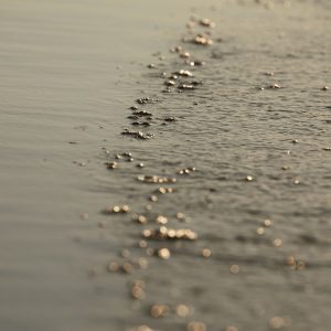 Author’s photography prints on fine art paper- decorate your space with Art Is Blick
