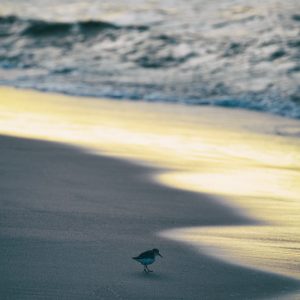 Unique photographs in your home