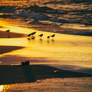 One-of-a-kind photography for your home- Art Is Blick