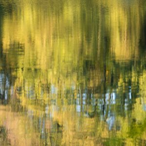 Fotografia unikatowa do domu Art Is Blick