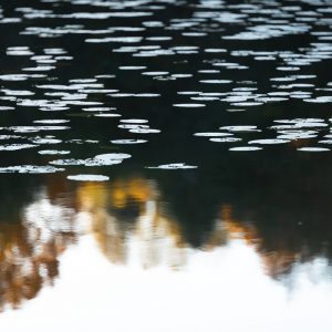 Zdjęcia - dekoracja wnętrz