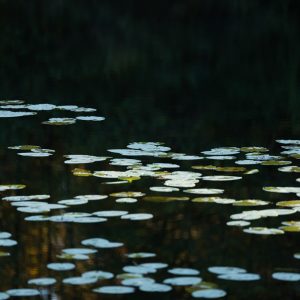 Fotografia na papierze artystycznym