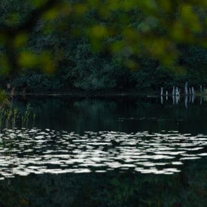 Wydruki fotografii autorskiej na papierze artystycznym. Dekoruj przestrzeń z Art Is Blick